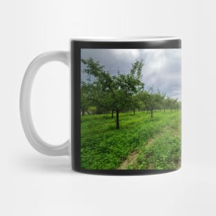 Plum trees orchard Mug